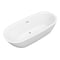 Anzzi Britt 59 in. Acrylic Flatbottom Freestanding Bathtub in White FT-AZ411-59 - alternate 1